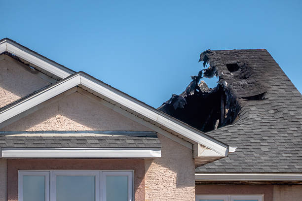 Top rated local Fire Damage Removal specialists in Fort Washington, MD